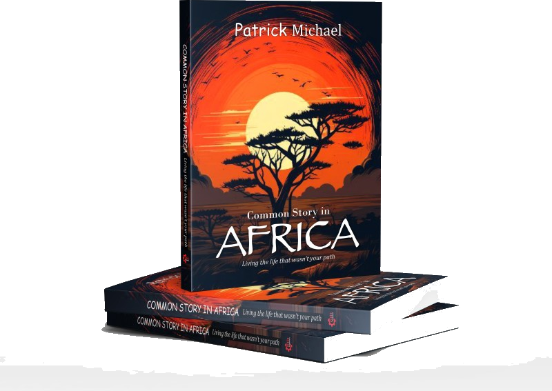 Common Story in Africa book cover